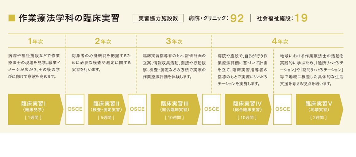 作業療法学科の臨床実習