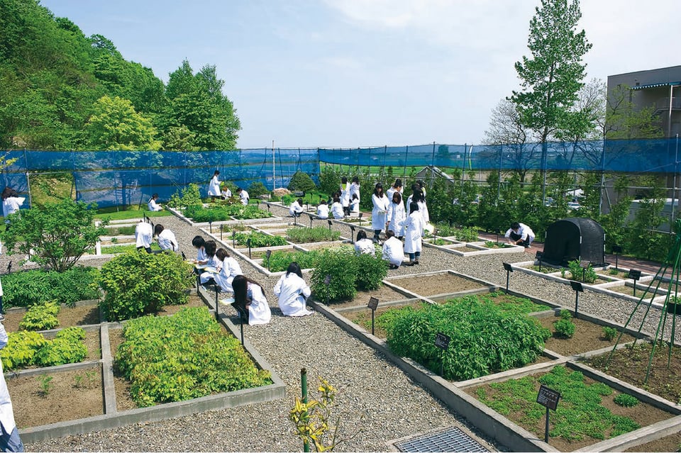 POINT.01　創薬を体系的に学ぶ