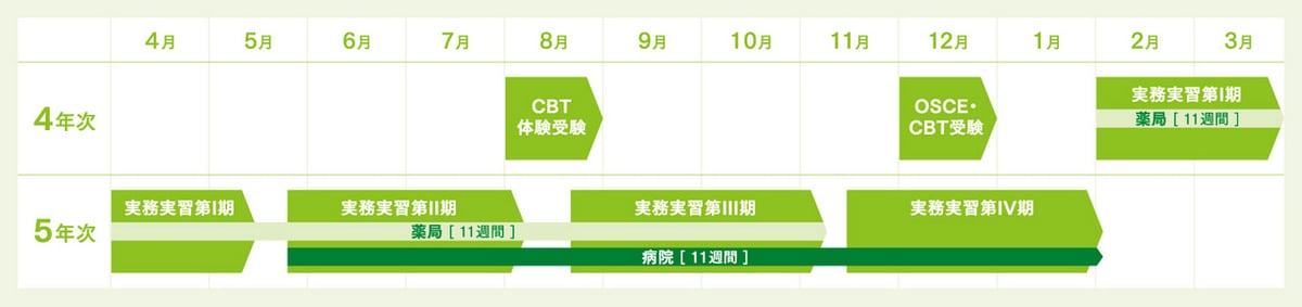 POINT.02　薬剤師の役割を理解する